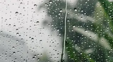 طقس ربيعي متقلب: القاهرة تسجل 24 درجة وجنوب الصعيد يقترب من الثلاثين